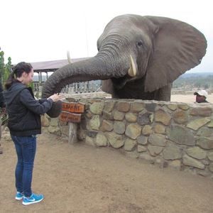 Meet your Posher, Molly